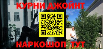 прущие грибы Рузаевка